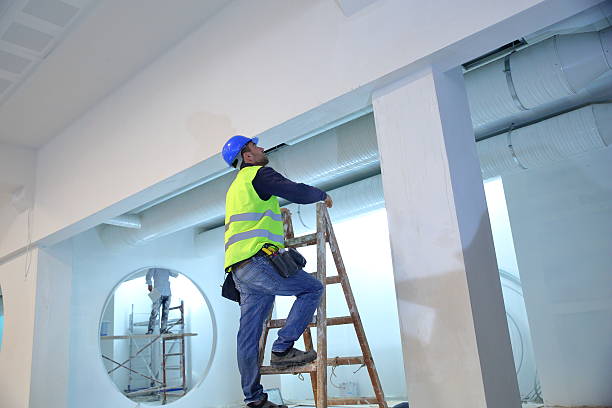 Best Mold Damage Restoration  in Morrow, OH